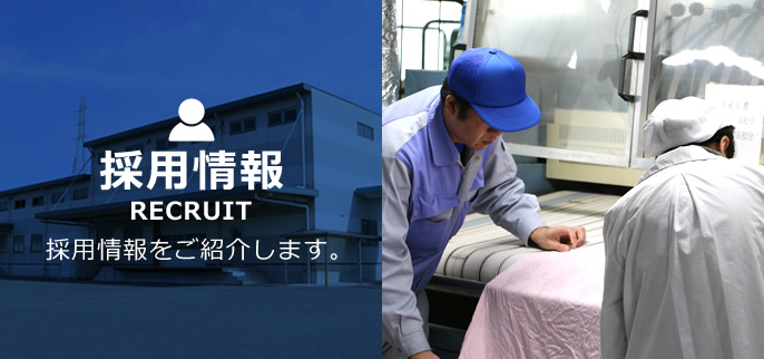 採用情報
